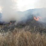 Нискостеблеста шума и трева гореле во Старо Нагоричане, пожарот е изгаснат