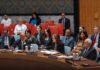 UN Security Council