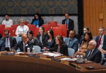 UN Security Council