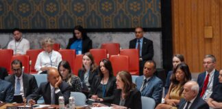 UN Security Council