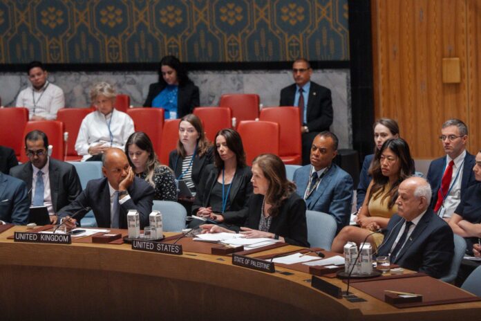 UN Security Council