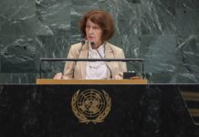 Siljanovska Davkova vo ON