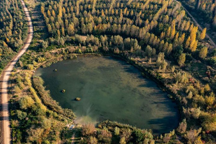 фото RWE