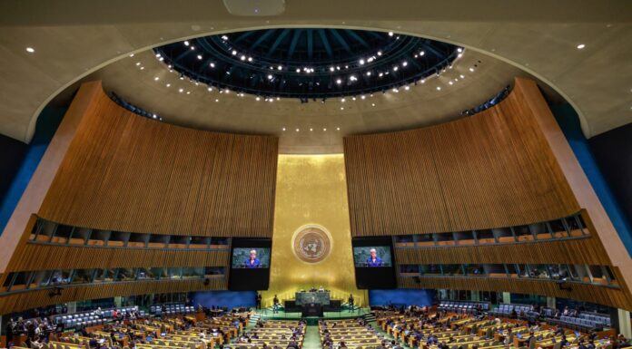 Пет нови членки се приклучуваат на Советот за безбедност на ОН