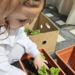 Во новата учебна година, нов предмет во училиштата: Едукација за одржлива иднина