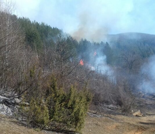 Најалармантен е пожарот во атарот на Баница и Водоча, има закана за куќите од првиот ред, соопшти Ангелов