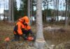 Алчноста за суровини ги уништува шумите во светот