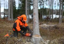Алчноста за суровини ги уништува шумите во светот