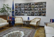 ДУИ е метафора за македонските политички диносауруси