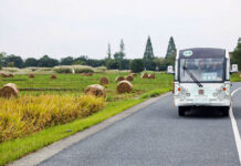 Импресивен пример на раната урбана цивилизација во Кина