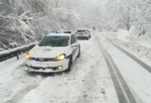 Sneg Srbija