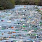 Илјадници пластични шишиња пловат по Вардар