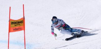 Вон: Ми се допаѓа кога влоговите се високи