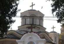Најпочитуваната светителка го положила милосрдието како темел на својот духовен живот