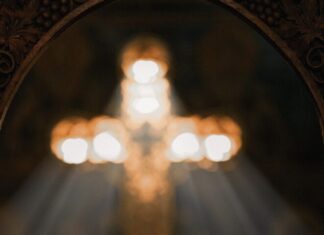 Светлина на Томица Милушевски – ФОТОГРАФИЈА НА НЕДЕЛАТА