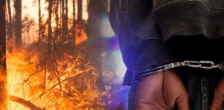 Досега поднесени 46 кривични пријави во врска со пожари на отворен простор, уапсени 66 лица