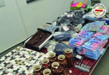 Речиси три илјади парчиња шверцувана стока запленети на царина