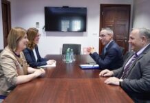 Божиновска-Медеб: Иновации и ВИ во служба на енергетската транзиција