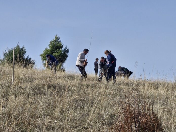 20251116_103737 posumuvanje