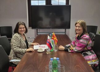 Божиновска – Хрицова: Македонија и Словачка имаат потенцијал за поголема соработка во енергетиката