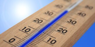 Жештината одговорна  за речиси 63.000 смртни  случаи во Европа