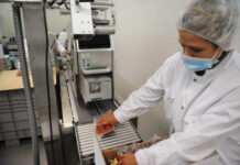 Скопскиот Регион креира половина од БДП на земјата – како да се поттикне развојот и во другите региони?