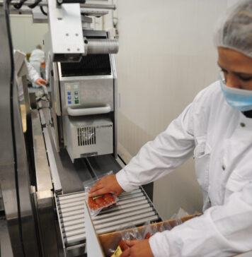 Скопскиот Регион креира половина од БДП на земјата – како да се поттикне развојот и во другите региони?