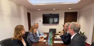 Божиновска – Де Грут: Можности за големи енергетски инвестиции и зелена трансформација во Македонија