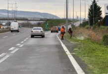 Голема акција за расчистување на вегетацијата на патните правци и клучки на влезот во Скопје