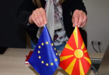 Стразбур со препораки и до Скопје и до Брисел