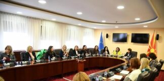 Нападите не се само напади врз жените во политиката, туку и врз целата демократија