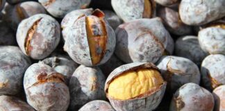 Костените го намалуваат крвниот притисок