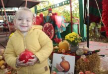 Ученици со цртежи и песнички ја славеа калинката