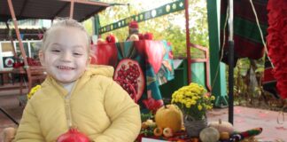 Ученици со цртежи и песнички ја славеа калинката