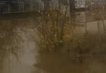 Поплави во Ресенско, над 50 куќи и земјоделски површини под вода по излевањето на реките