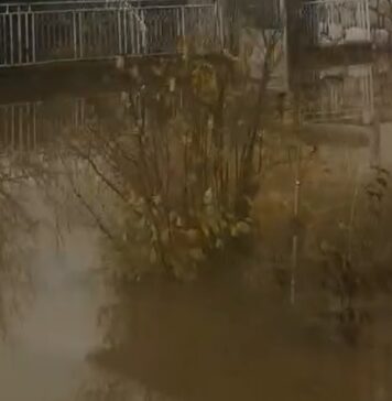 Поплави во ресенско, над 50 куќи и земјоделски површини под вода по излевањето на реките