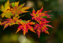 Годинашниот септември – трет најтопол септември на Земјата