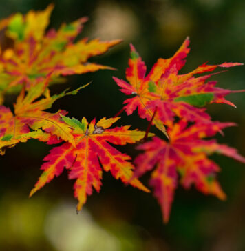 Годинашниот септември – трет најтопол септември на Земјата