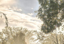 Утринска магија на Виктор Ванчевски – ФОТОГРАФИЈА НА НЕДЕЛАТА