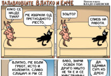 Палавковците Влатко и Емче