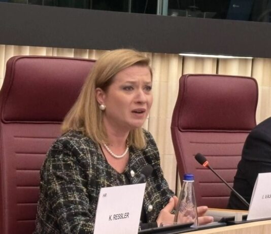 ЕУ не ќе може да се движи кон иднината, ако живее во теми од пред неколку векови, порача Василевска во Стразбур