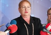 Направена е дератизација во домот „Пелагонија“, се надевам проблемот е надминат, истакна Јаневска