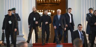 Германскиот план за Украина од десет точки