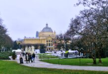 Блескавиот град раскажува убава декемвриска приказна