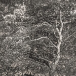 Изложба „На мајката Земја“ на Сашо Алушевски