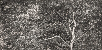 Изложба „На мајката Земја“ на Сашо Алушевски