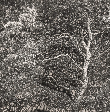 Изложба „На мајката Земја“ на Сашо Алушевски