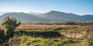 Велушката Тумба – предисториска населба во Македонија