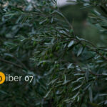 Распишан конкурсот за краток расказ „Бибер“ посветен на студентската борба