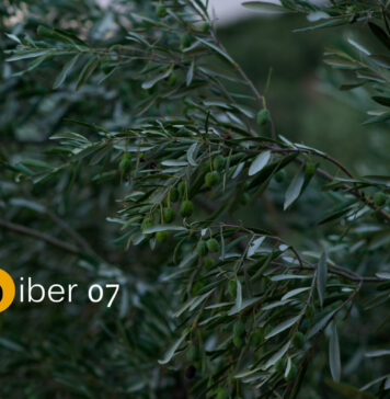 Распишан конкурсот за краток расказ „Бибер“ посветен на студентската борба